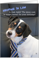 Brother in Law 21st Birthday Card - Dog Wearing Smart Tie - Humorous card