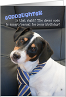 Goddaughter Birthday Card - Dog Wearing Smart Tie - Humorous card
