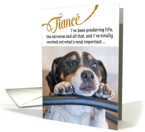 Fiance Funny Birthday Card - Dog Pondering Life and The Universe card