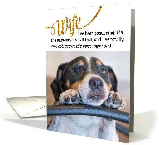 Wife Funny Birthday Card - Dog Pondering Life and The Universe card