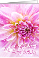 Great Grandma Birthday Card - Exciting Party Time Floral card