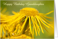 Granddaughter Birthday Card - Yellow Flowing Floral card