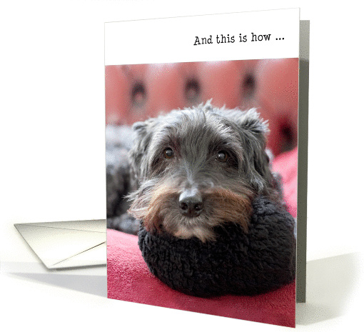 Humorous Birthday Card - Clever Dog card (931119)