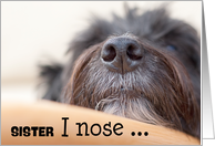 Sister Humorous Birthday Card - The Dog Nose card