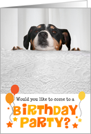 Humorous Birthday Party Invitation - Dog Peeking Over Table card