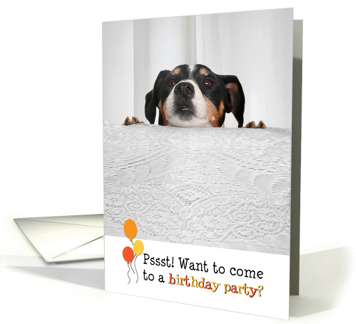 Humorous Surprise Birthday Party Invitation - Dog Peeking... (944366)
