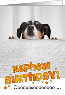 Nephew Humorous Birthday Card - Dog Peeking Over Table card