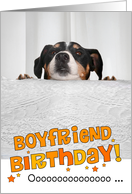 Boyfriend Humorous Birthday Card - Dog Peeking Over Table card