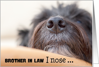 Brother in Law Humorous Birthday Card - The Dog Nose card