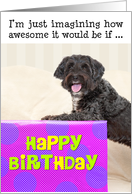 Humorous Birthday Card - Dog and Huge Present card