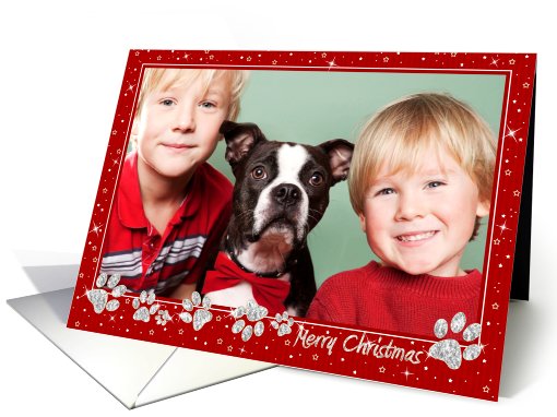 Christmas Photo Card - Sparkle Effect Paws card (987635)