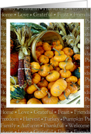 Thanksgiving Basket of Pumpkins card