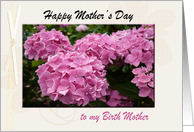 Happy Mother’s Day Card, to my Birth Mother, with Pink Hydrangea card
