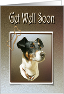 Get Well Soon Greeting Card, with Cute Jack Russell Dog card