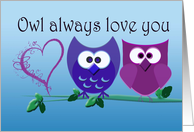 Owl always love you, cute Owls Valentine Card