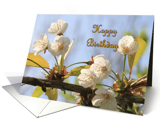 Spring Blossom Birthday card (804736)