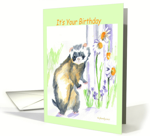 It's your birthday, ferret, fence with daisies, outdoors,... (876744)