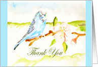 Thank you, budgie on apple branch, blue border card