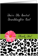 Thank You Granddaughter Trendy Leopard Print With Pink Flower card