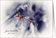 Encouragement For Friend- Just Hold On - Dragonfly card