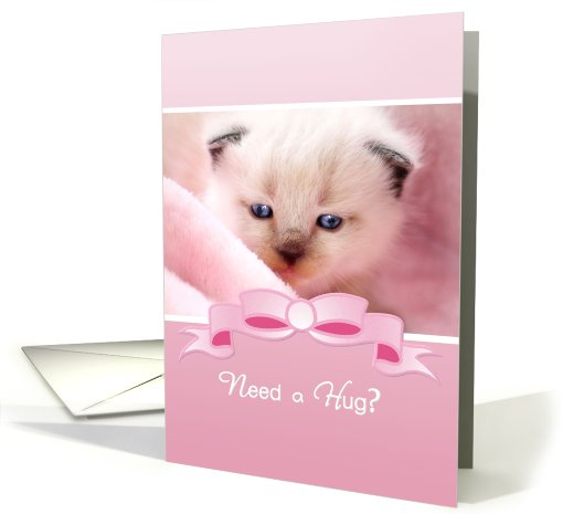 Need a Hug, Cute Siamese Kitten, Pink Encouragement For Friend card