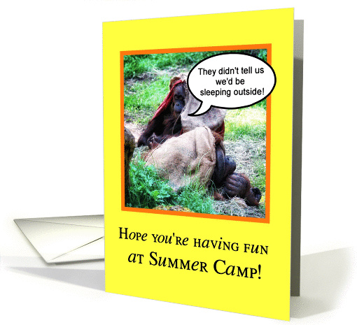 Funny Summer Camp, Orangutans Sleeping Outside Thinking of You card