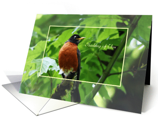 Thinking of You - Robin Red Breast card (831500)