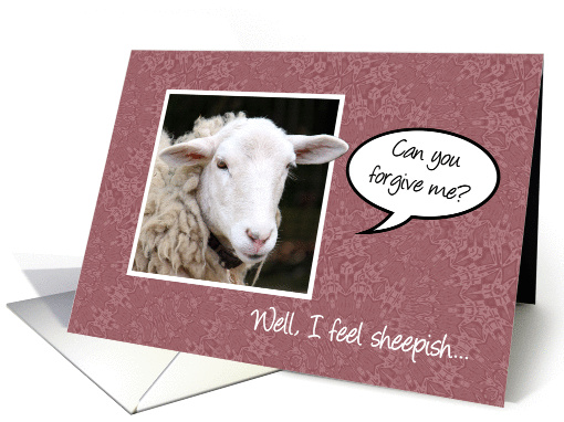Forgive me - I Feel Sheepish - White Sheep - Humorous card (834058)