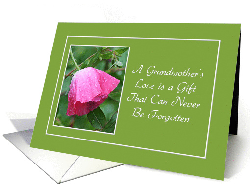 Encouragement - Grandmother's Love - Pink Poppy card (843316)