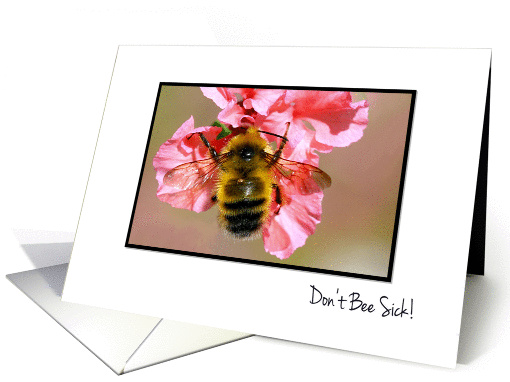 Don't Bee Sick - Feel Better Soon - Cute Fuzzy Bee On Pink... (859195)