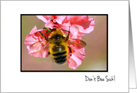 Don’t Bee Sick - Feel Better Soon - Cute Fuzzy Bee On Pink Flowers card