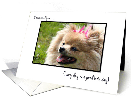 Funny Thank You Pet Grooomer - Cute Pomeranian Puppy card (859230)
