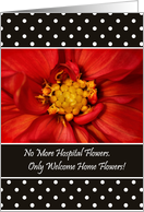 Coming Home From Hospital Announcement - Bright Orange Flower card