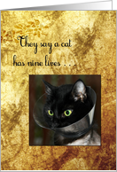 Get Well Soon Black Cat With Nine Lives Wearing An E-Collar Cone card