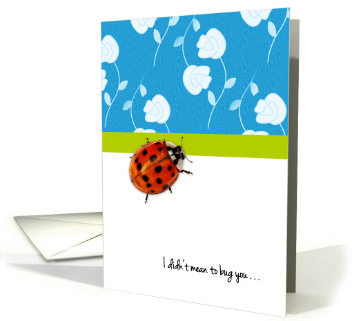 Spotted Ladybug I Didn't Mean To Bug You Can You Forgive Me card