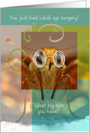 Get Well Soon On Your Lasik Eye Surgery, Bug Eyed Butterfly card