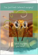 Get Well Soon On Your Cataract Surgery, Bug Eyed Butterfly card