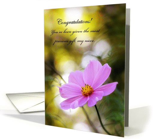 Congratulations On Custody, Niece - Pink Cosmos At Twilight card