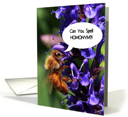 Spelling Bee Congratuations Funny Bee Can You Spell Homonym card