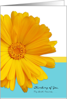 Thinking of You Birth Parents, Trendy Summer Blue And Yellow, Daisy card