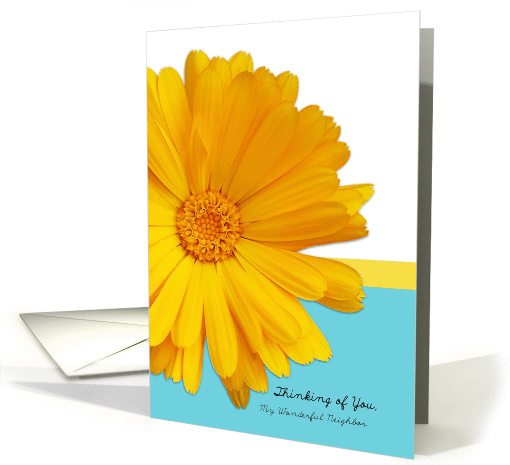Thinking of You Neighbor, Trendy Summer Blue And Yellow Daisy card