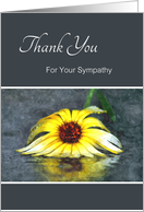 Thank You For Your Sympathy, Yellow Daisy Mirror Reflection In Rain card