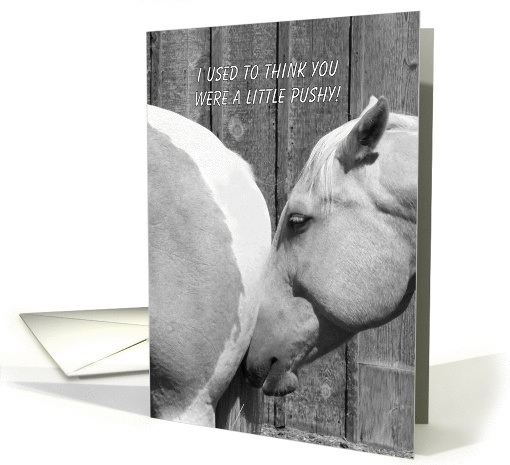 Funny Horse, Thank You For the Encouragement card (962703)