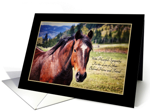 Sympathy For Loss of Beloved Pet Horse Beautiful Bay Mare card