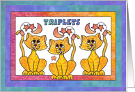 Three Yellow Moon Cats,Triplets card