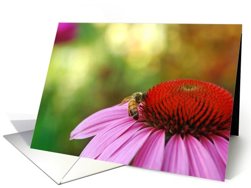 Blank Card-Flowers card (815122)