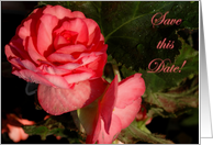 Save the Date-Roses card