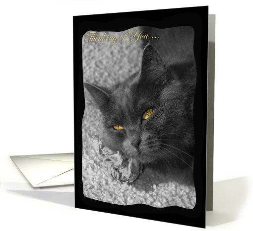 Thinking of You-Grey Cat card (857672)