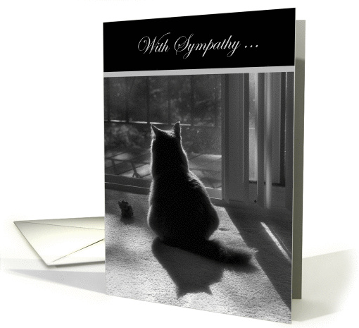 With Sympathy-loss of pet-grey cat card (858235)