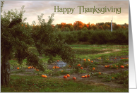 Happy Thanksgiving-Farm card